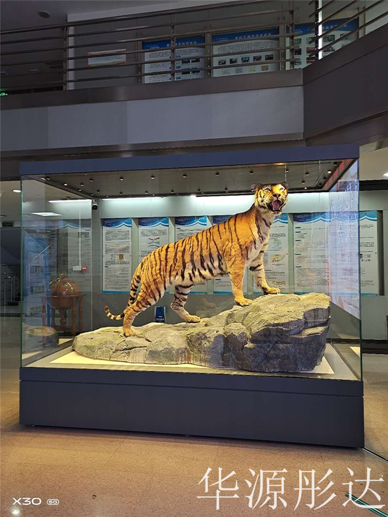 东北师范大学自然博物馆(图3)