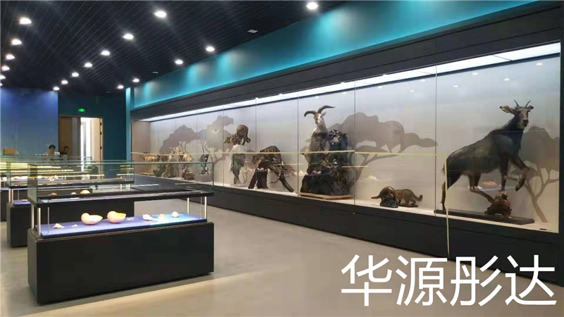 博物馆展柜哪家好(图1)