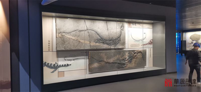 贵州省地质博物馆展柜(图2) 贵州省地质博物馆展柜