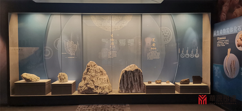 贵州省地质博物馆展柜(图3) 贵州省地质博物馆展柜