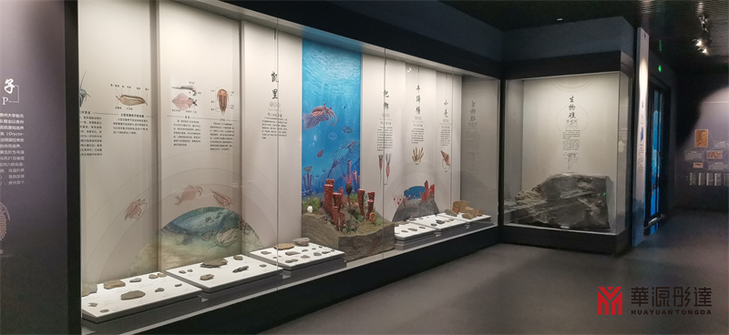 贵州省地质博物馆展柜(图4) 贵州省地质博物馆展柜