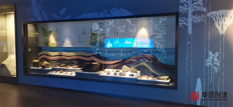 贵州省地质博物馆展柜